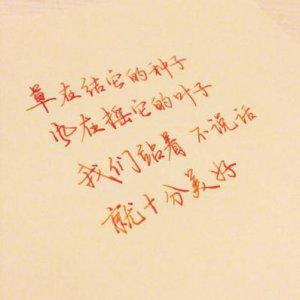 ​写在情书胶囊的短句100 情书的经典句子越短越好