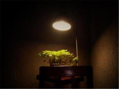 ​2023年春节最佳慰问短信