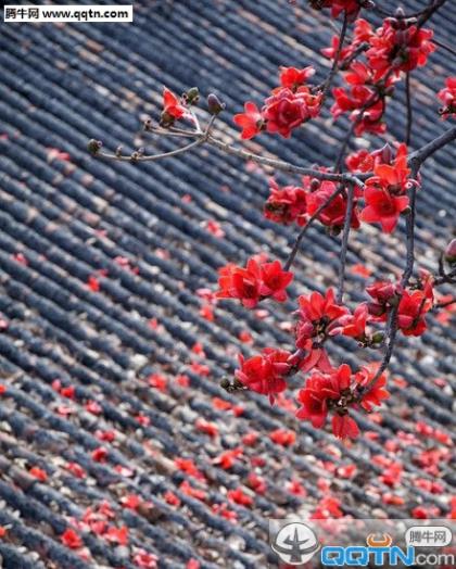 中秋节手机短信大全