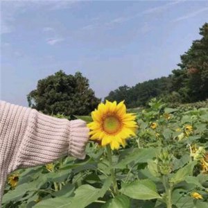 ​怀念过去友谊的唯美句子 友谊的句子唯美超很多句