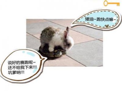 ​平心静气唯美句子