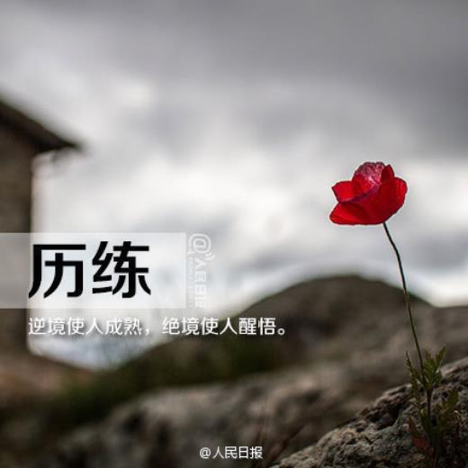 感谢老师辛勤付出的句子