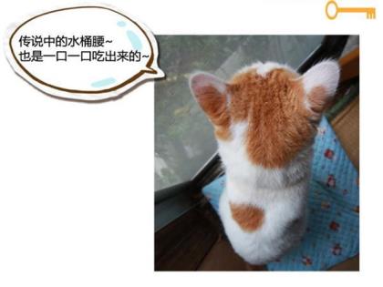 关于江南美景的美文
