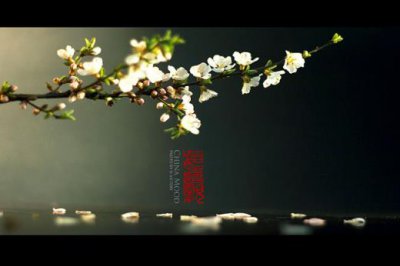 ​给领导除夕拜年短信
