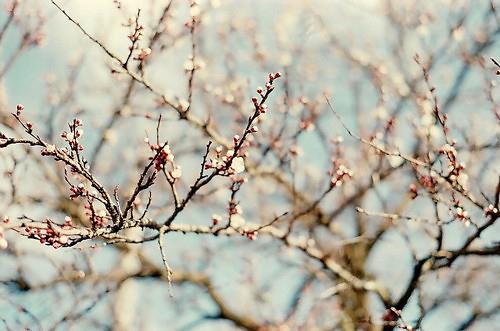 暖人心的图片带字