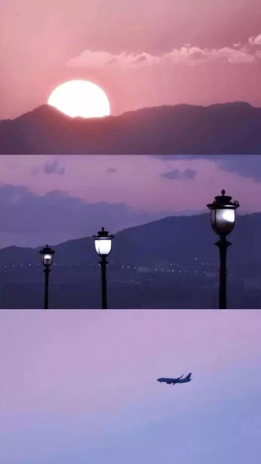 爱心树绘本好词好句