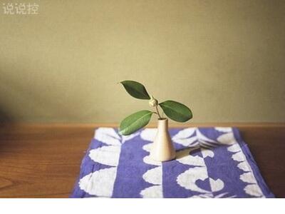 描述大学生活的句子