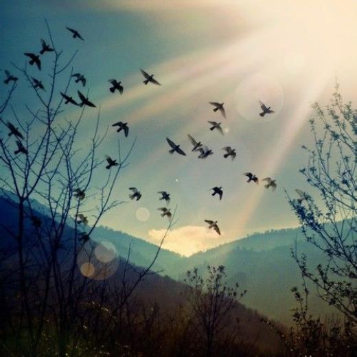 河南加油郑州挺住