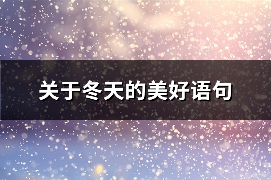 关于冬天的美好语句(汇总93句)