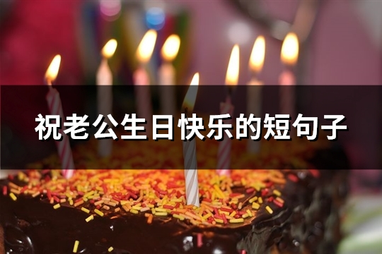 祝老公生日快乐的短句子(必备131句)
