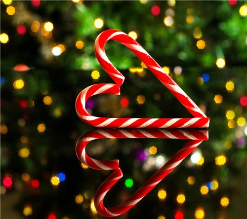 关于青春的句子短句(通用114句)