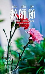 ​网红情感语录与感悟图片