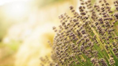 ​很现实的人生感悟句子(请爱护保重你身边岑寂爱你的人…)
