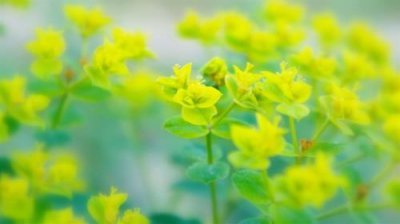 ​2023情侣留言板每一天一条