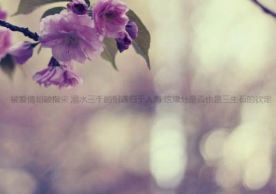 ​感恩感谢老公的句子(20句)：而且爬上山顶后看到的风景是最美的…