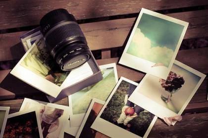 小动物好词好句好段