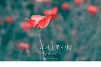 暖心到爆的短句