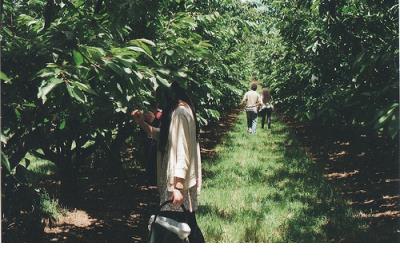 写给自己的短句