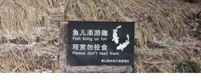 迎接宝宝出生的短句