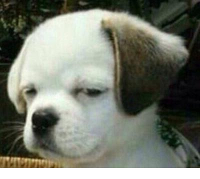 描写友情的古风句子