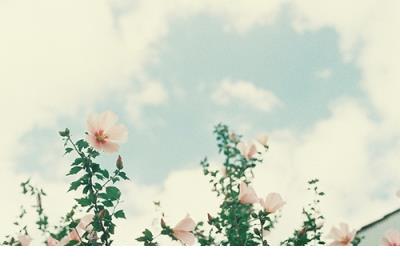 早上问好的句子短语