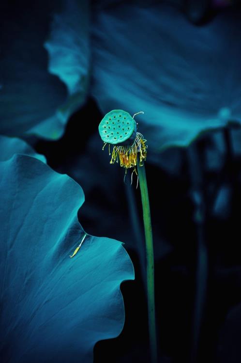 人不能太实在的句子