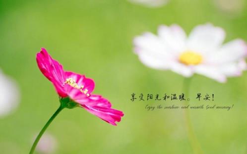 人不能太实在的句子