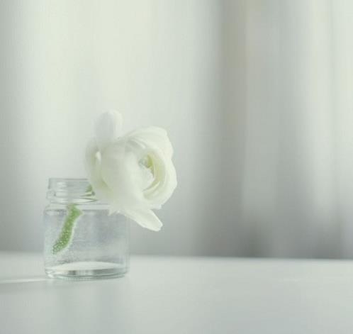 表示对对方关心的句子(表示关心的礼貌用语)