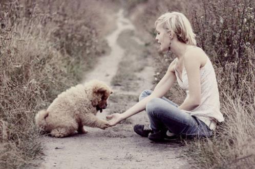 做生意感谢信任的句子(表达信任感谢的句子)