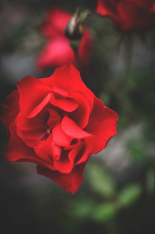 做生意感谢信任的句子(表达信任感谢的句子)