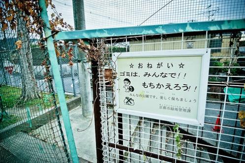 描写棉花的句子和段落(赞美秋天棉花的优美句子)