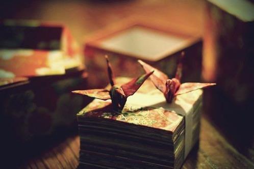 抖音的好听的歌词句子（2023年抖音好听网名）