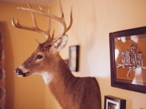 家庭群名称搞笑幽默 史上最搞笑的表白句子