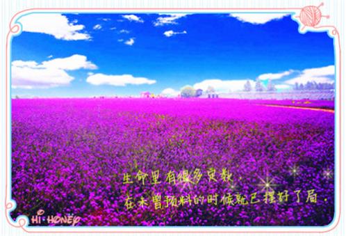 我觉得我暗恋你已经很久了