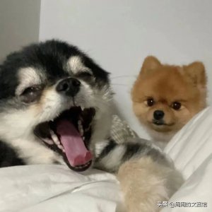 ​五一假期放假的逗比句子