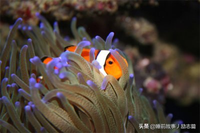 ​一首歌好听怎么发朋友圈文案（歌声，优美的句子）