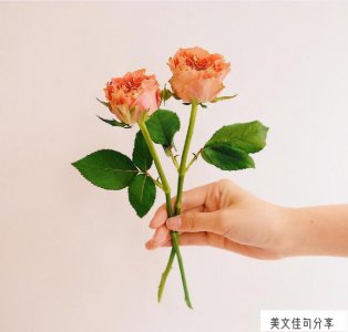 ​情话表白打动女生心（58句表白最暖心经典短句）