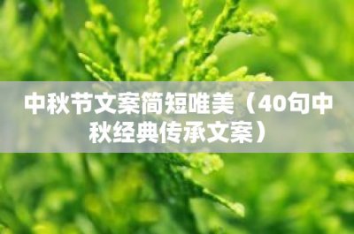 ​中秋节文案简短唯美（40句中秋经典传承文案）