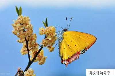 ​关于自律的优美句子（21句坚持自律的朋友圈语录）