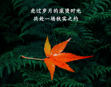 ​秋天奶茶简短文案（关于秋天的第一杯奶茶的句子）