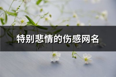 ​特别悲情的伤感网名(1128个)