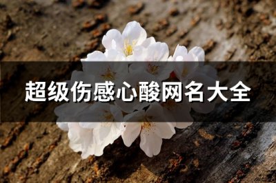 ​超级伤感心酸网名大全(728个)