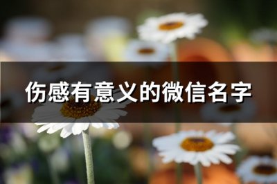​伤感有意义的微信名字(优选662个)