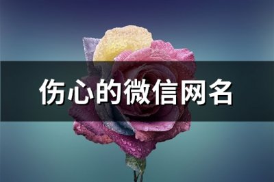 ​伤心的微信网名(精选654个)