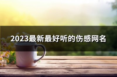 ​2023最新最好听的伤感网名(共563个)