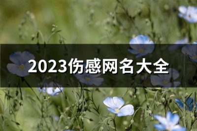 ​2023伤感网名大全(精选560个)