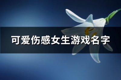 ​可爱伤感女生游戏名字(537个)
