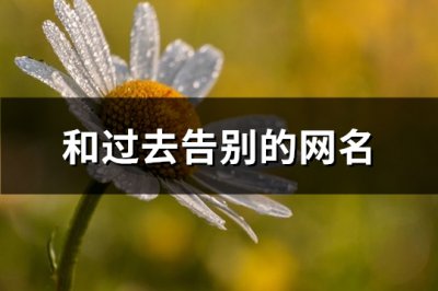 ​和过去告别的网名(精选452个)