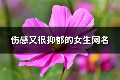​伤感又很抑郁的女生网名(优选285个)