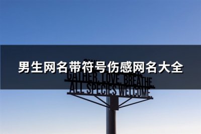 ​男生网名带符号伤感网名大全(共237个)